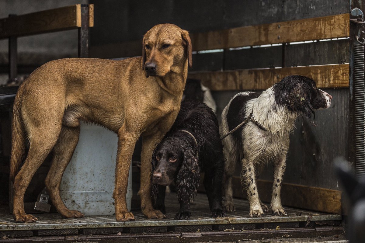 Hope you’re all making the most of the season. Order before 1 December to guarantee Christmas delivery. 🍂🍁 Shop online. You have three more weeks to order 🎁