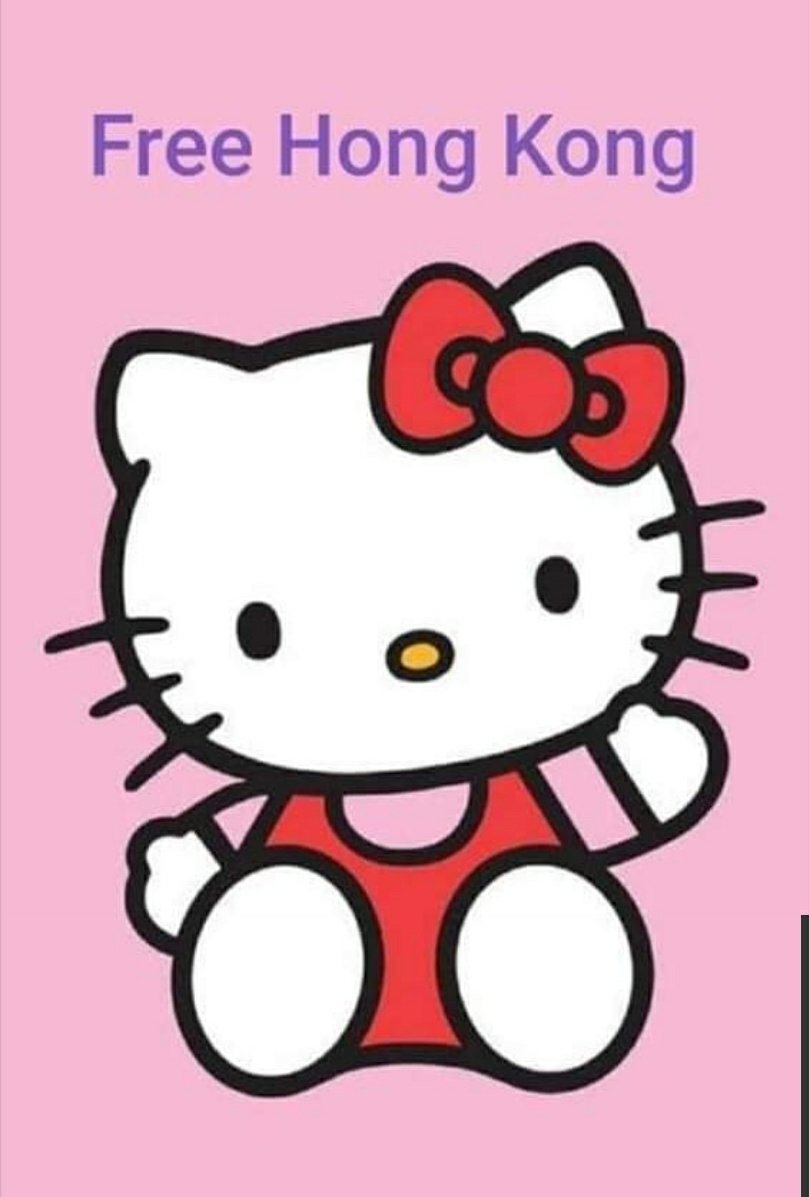 MissBritt6's tweet photo. #freehongkong https://t.co/1kEnDA37SK