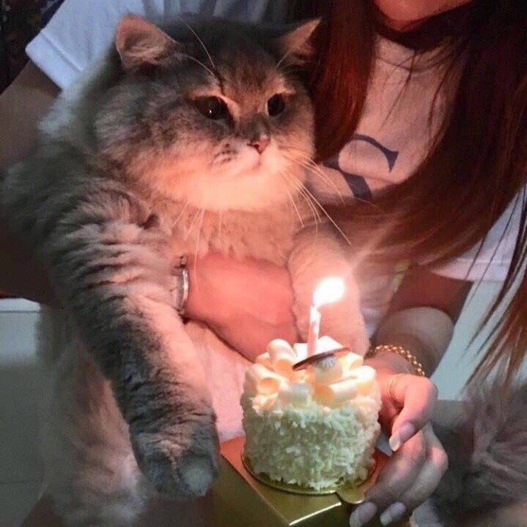 sl0wking1's tweet photo. Ты же меня поздравишь?... https://t.co/byvOMEupXw