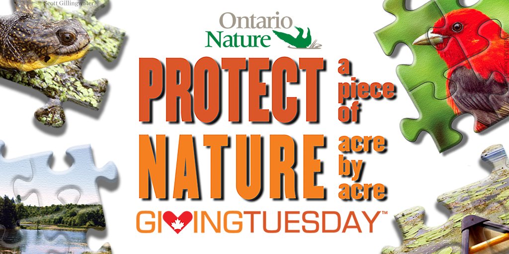 Save the date! 
December 3rd is #GivingTuesday, a day for Canadians to give to the causes that mean the most to you.
We have something BIG planned this year. How big? Let's just say it's 360 acres, big! 
Learn more about our Giving Tuesday cause: ontarionature.org/give/other-way…