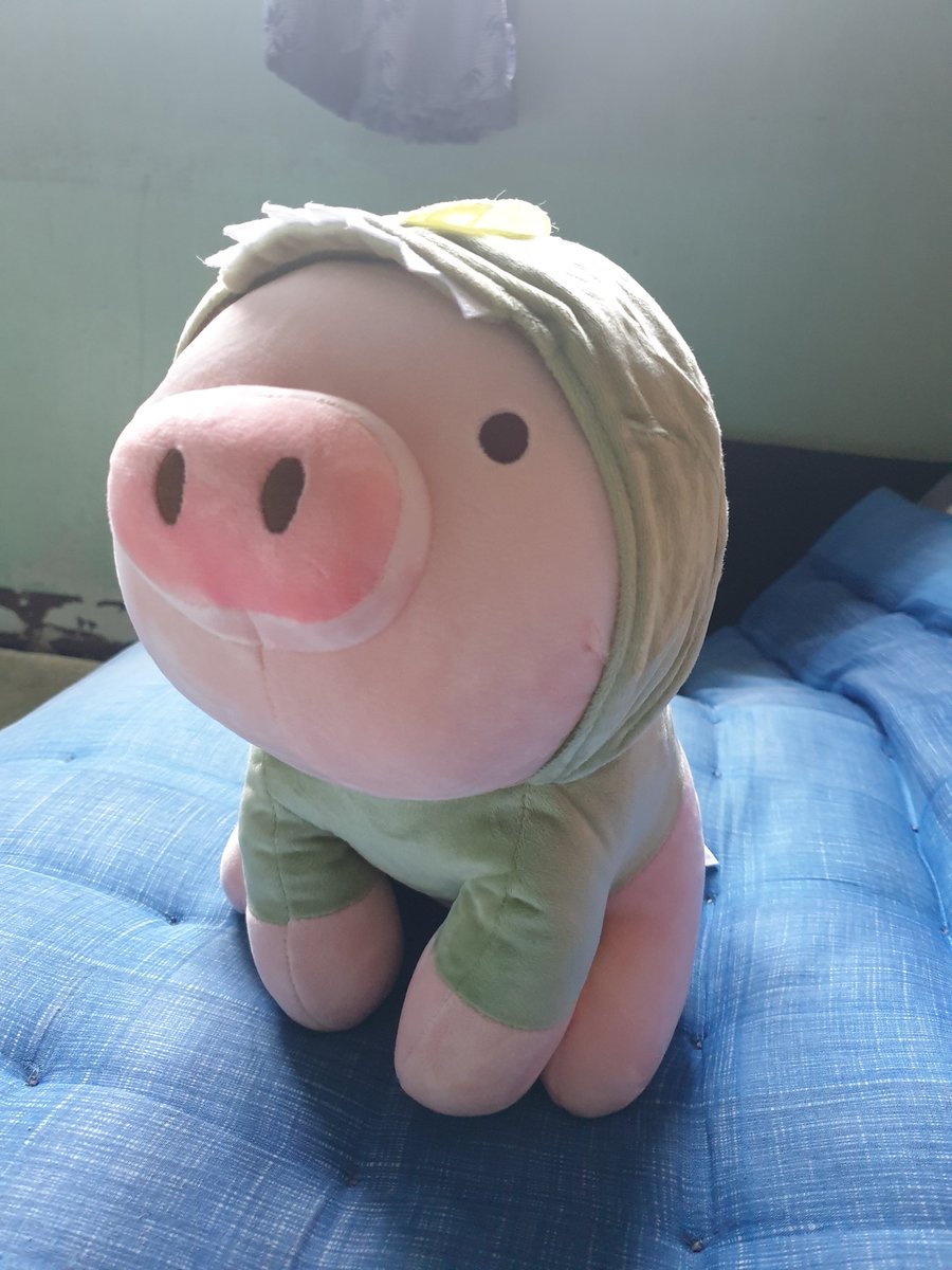 pig stuffed toy miniso