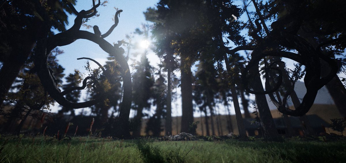 ProjetNKareGame's tweet image. #ProjetNKareOpenWorldGame
#PostApocalypticGame