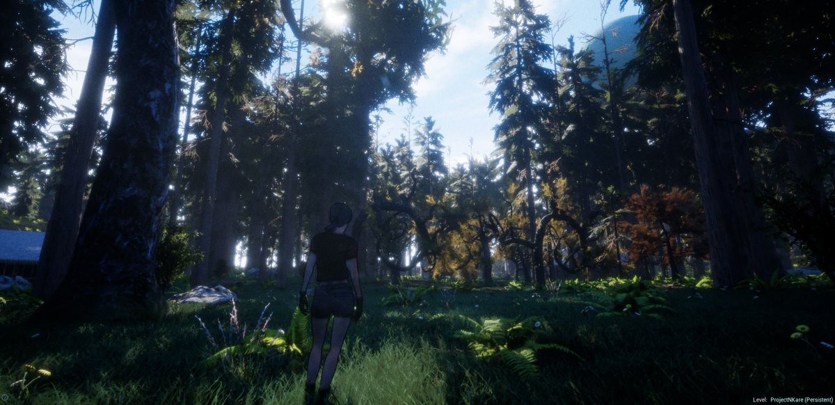 ProjetNKareGame's tweet image. #ProjetNKareOpenWorldGame
#PostApocalypticGame