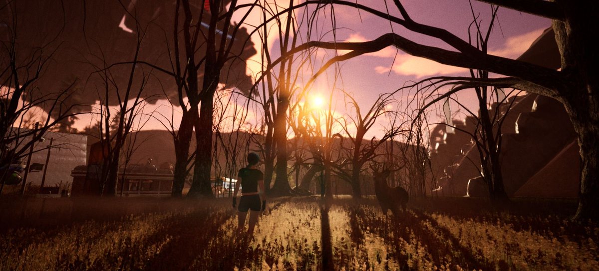 ProjetNKareGame's tweet image. #ProjetNKareOpenWorldGame
#PostApocalypticGame