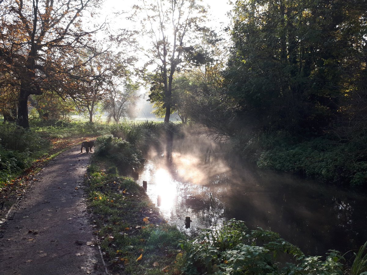 A beautiful morning <a href="/nationaltrust/">National Trust</a> <a href="/MordenHallPkNT/">Morden Hall Park NT</a> <a href="/NTlovesLondon/">NationalTrustLondon</a> <a href="/nattrustjobs/">National Trust Jobs</a> <a href="/RangerCMA/">CMA Rangers UK</a>