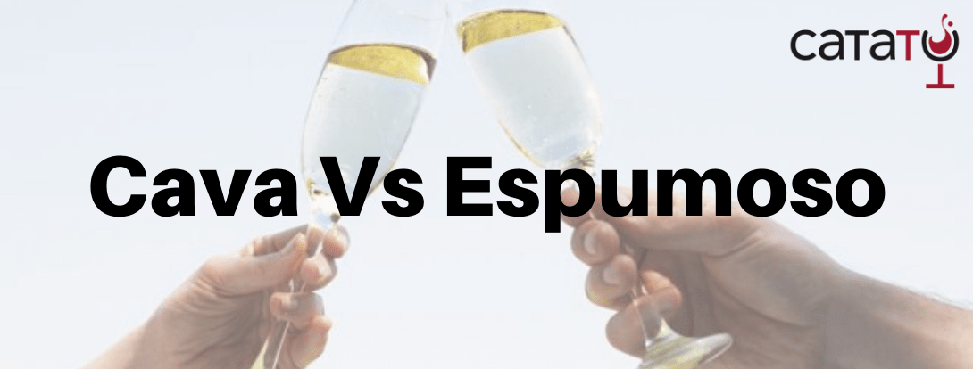 Si te gustan los #vinos espumosos te interesa saber las diferencias entre el Cava y el vino espumoso. buff.ly/2FvP0bp vía: @catatu_es <a href="/MonteLaReinaes/">Monte La Reina</a> @mascarospirit <a href="/BodegasGodelia/">Bodegas Godelia</a>