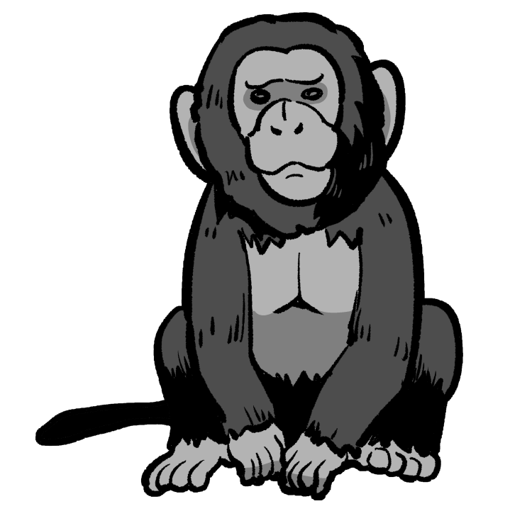 チンパンジー フリー素材 無料png素材画像