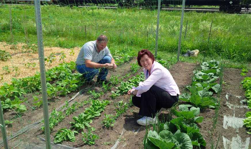 ChristieDigital's tweet photo. @SDVoE #ChristieTurns90 #90FunFacts Both Christie USA and Christie Canada have community gardens for all employees who are interested in growing their own food as well as getting a little exercise. π₯¬π
#GoGreen #Garden https://t.co/sBi3rdc0pd