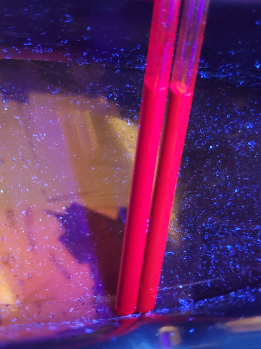 Fluorescent Friday!!!!!