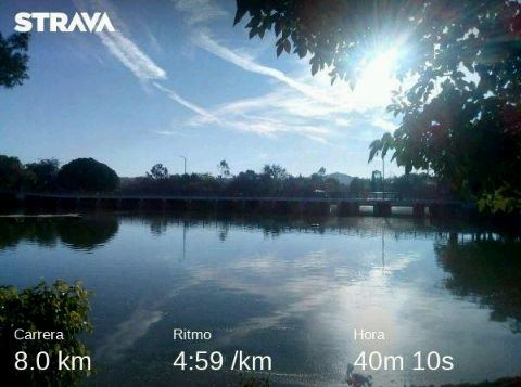 vicent2361's tweet photo. Buenos días 🌅 #runners que tengan un excelente fin de semana #FelizViernesATodos  #YoElegiCorrer 👟👟💨💨💨🏃🏃 8 km. 👊💪💯 #aquiyasecorrio en el #templorunner #runnerspuebla #RunningMan #runforlfe #Runaway #marathorunners #LoveRunSmile #Runrunes https://t.co/bXWVESxOYM