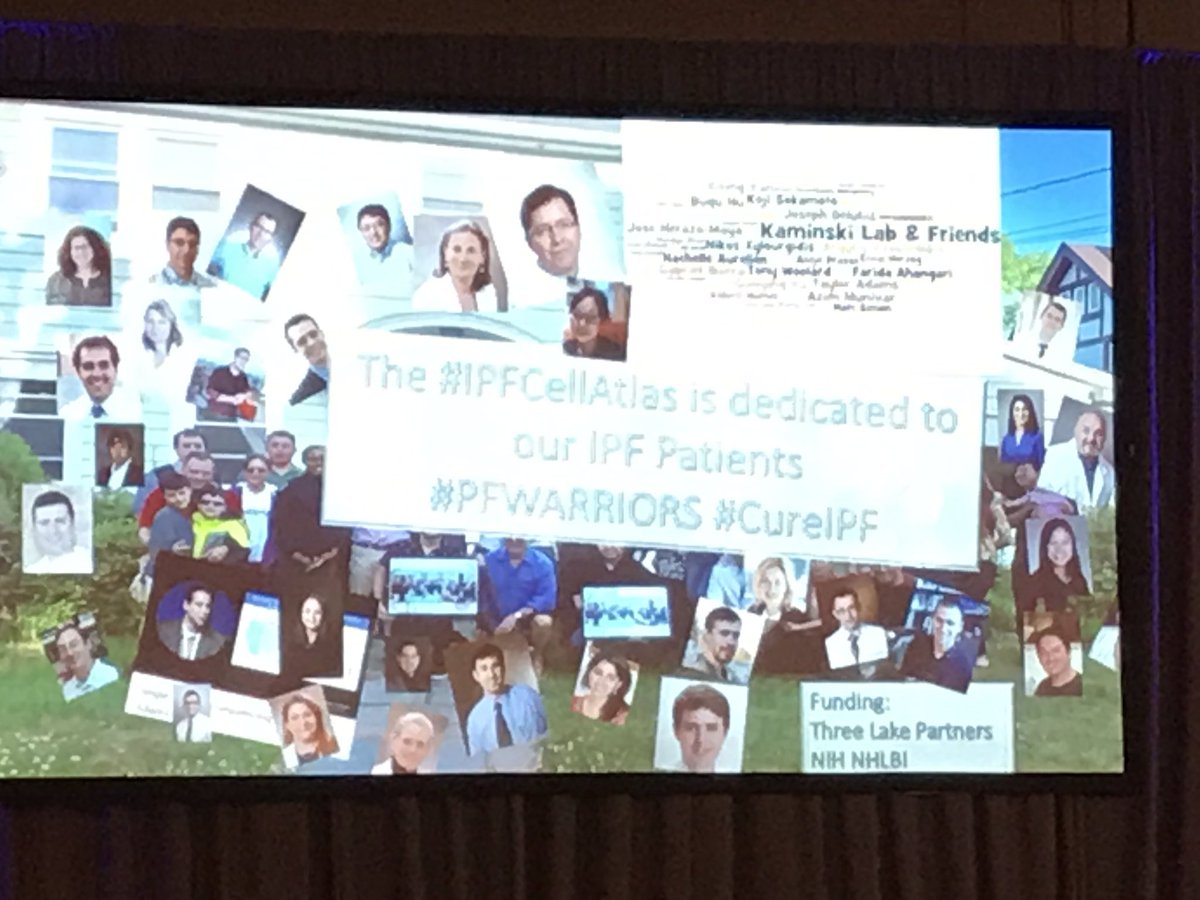 At #cureIPF conference learning about amazing collaborative research by Kaminsky lab - #collaboration saves lives. #PPF #PFWarriors