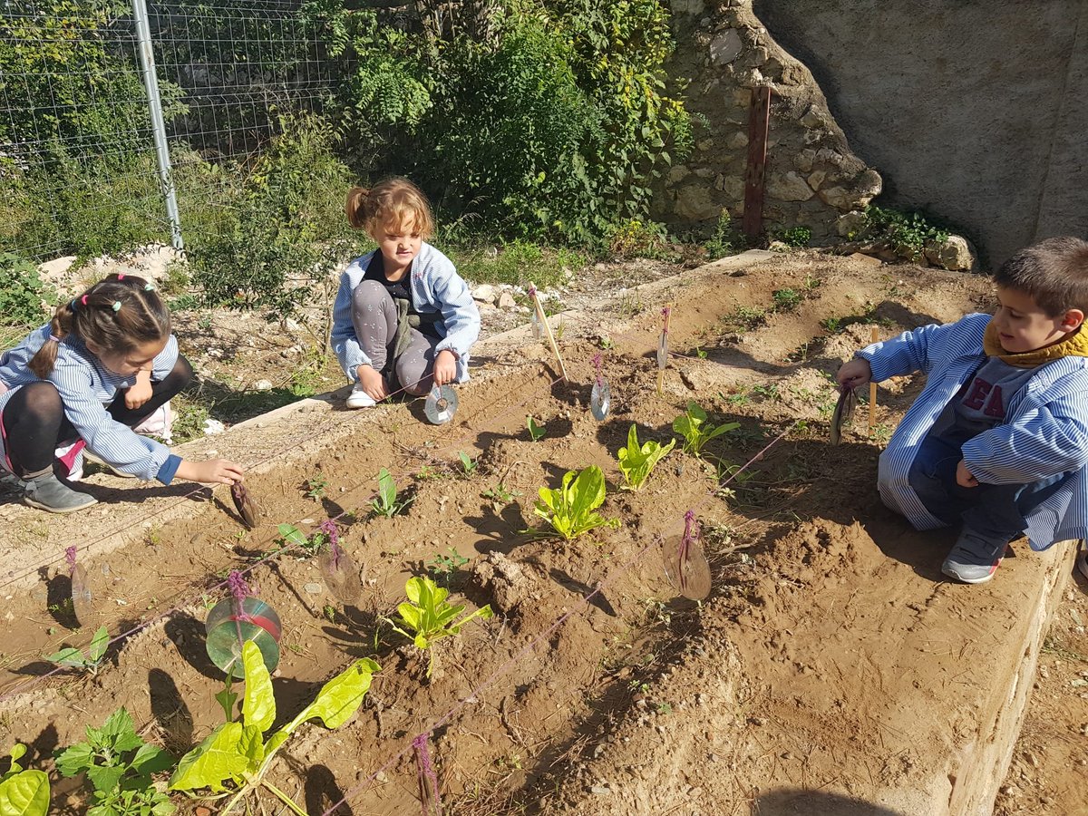 colsantpau's tweet photo. CICLE INICIAL | #LearningByDoing! Aprenentatge basat en l'experiència en estat pur! Així és com els nostres alumnes aprenen conceptes relacionats amb la #Natura! #SomEscolaVerda #JoSocdelSantPau 🌾 https://t.co/lkuh35DGEQ