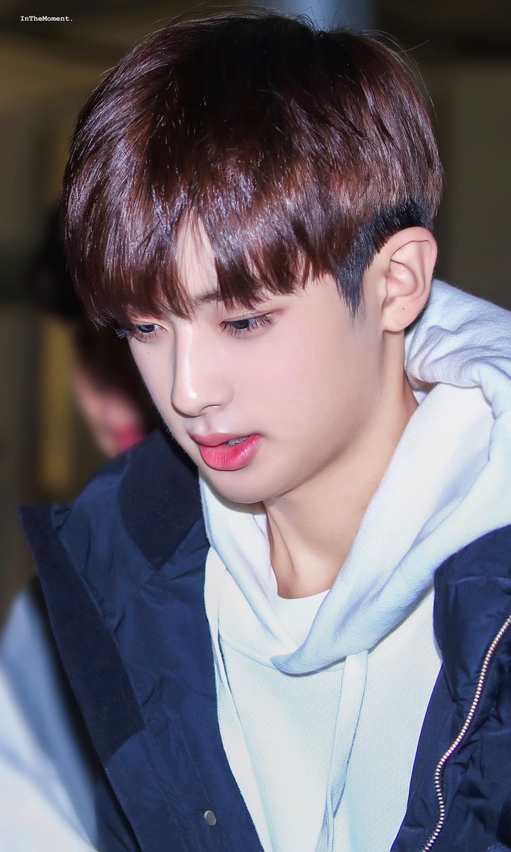 InthemomentM's tweet photo. 191108 ICN 🥰
#김민규 #민규 #KIMMINKYU #MINKYU #젤리피쉬 https://t.co/WabVi76rAd
