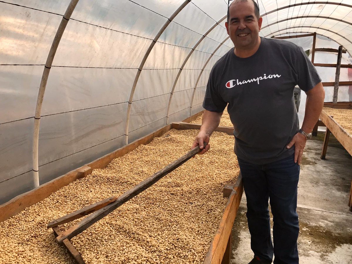 Caffeine Limited tweet media