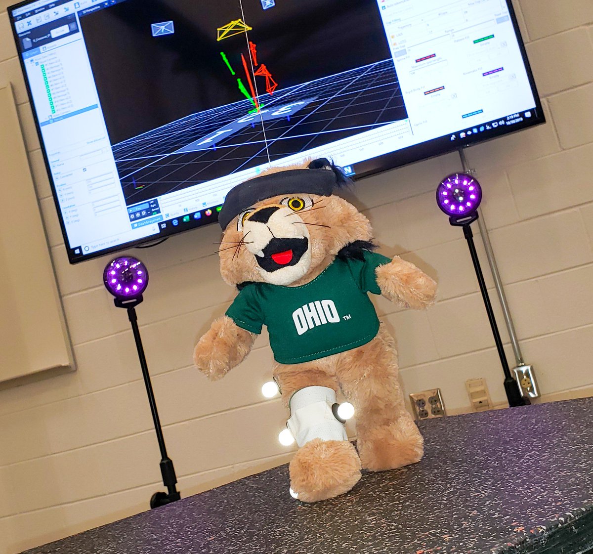 BobcatsDiscover tweet media