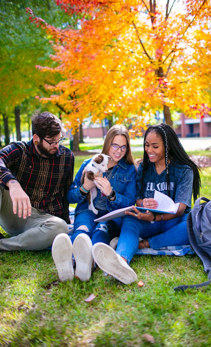 UAFS's tweet image. The autumn leaves are at peak color this week, so we’re doing a photoshoot this afternoon to be used in our marketing materials for the coming year! 

If you want to participate, come to the Belltower at 3 p.m.! Wear your warm fall gear, or your favorite UAFS swag!