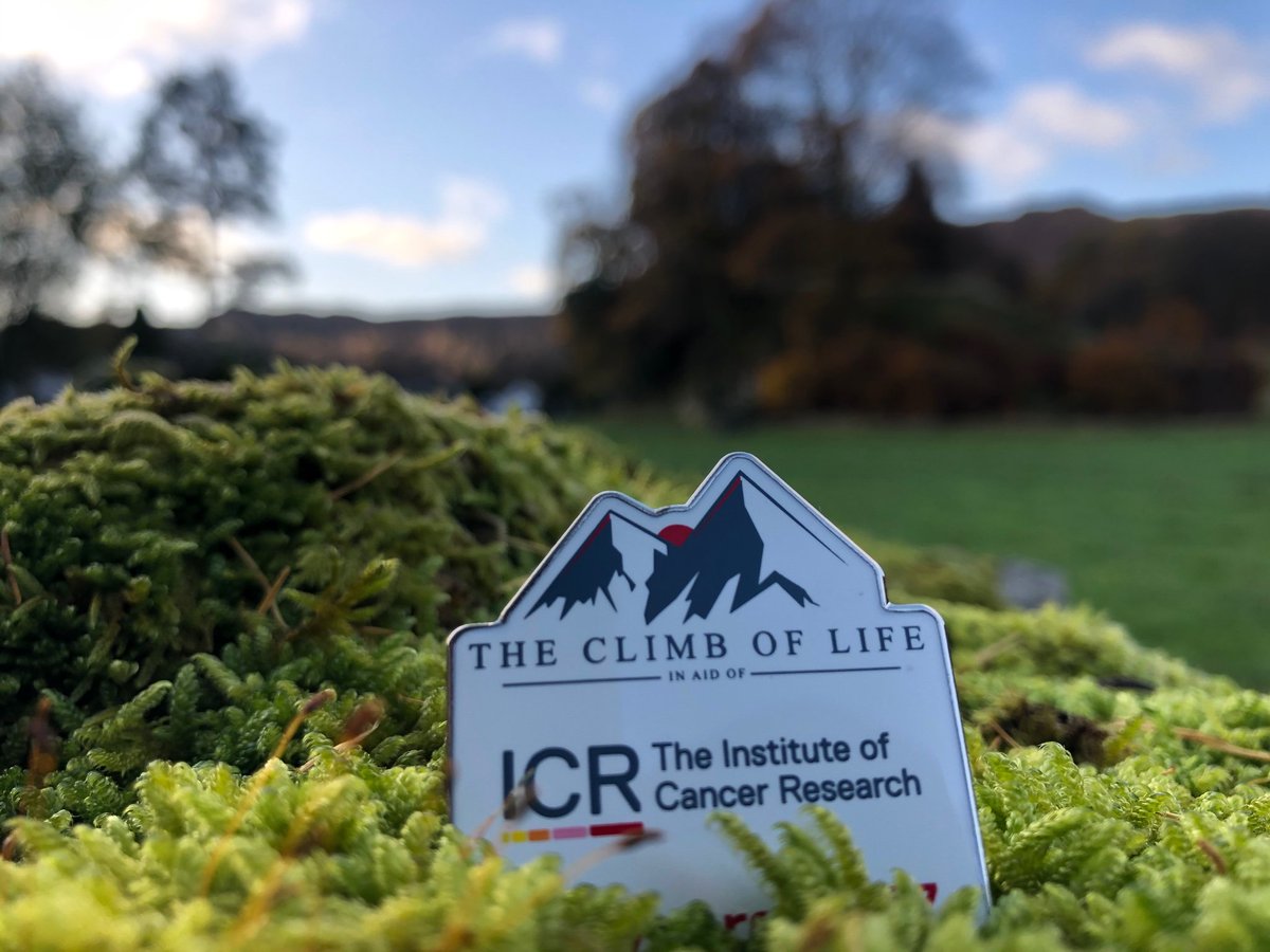 iCharmaine's tweet photo. Brilliant to be part of the #ClimbOfLife team in Grasmere today raising vital funds for @ICR_London. Every donation makes a difference and helps research to defeat cancer - please support if you can 🙏🏻🥾🏔https://t.co/VY5g5immDa https://t.co/HxynShEbYj