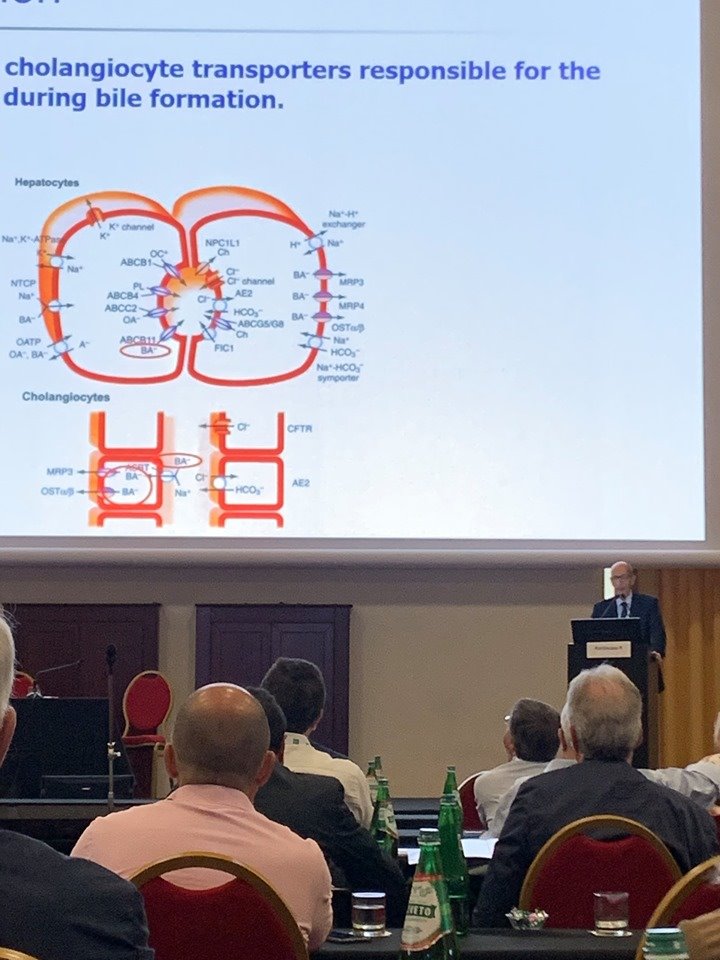 ProjectFOIEGRAS's tweet photo. UNIBA team from Bari, Italy participated at the Conference “Chronic Gastrointestinal Disorders” which was organized at the Marriott Park Hotel, Rome on September 18- 21, 2019. Prof. Piero Portincasa gave a lecture on “Gastrointestinal effects of Bile acids”. #BileAcid https://t.co/JPhM7Noohi