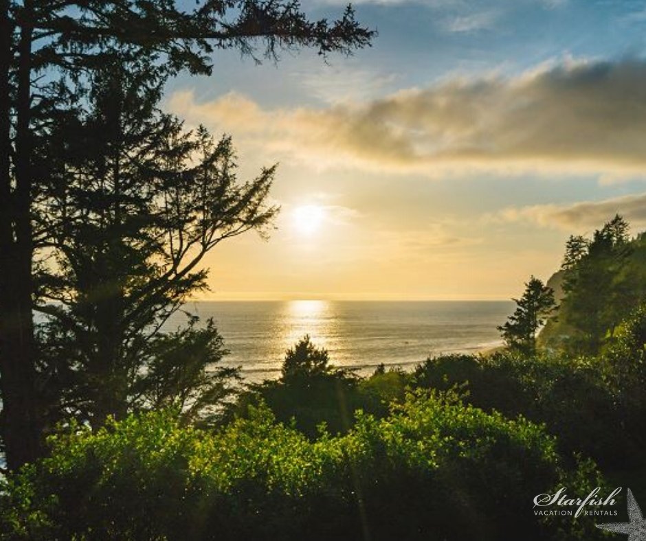 Views like this??  Oh yea....we have plenty!!!😍
#OregonCoast