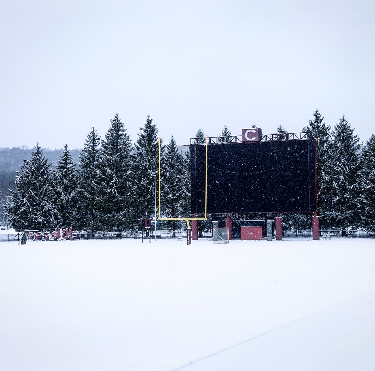 Trevor Cook tweet media