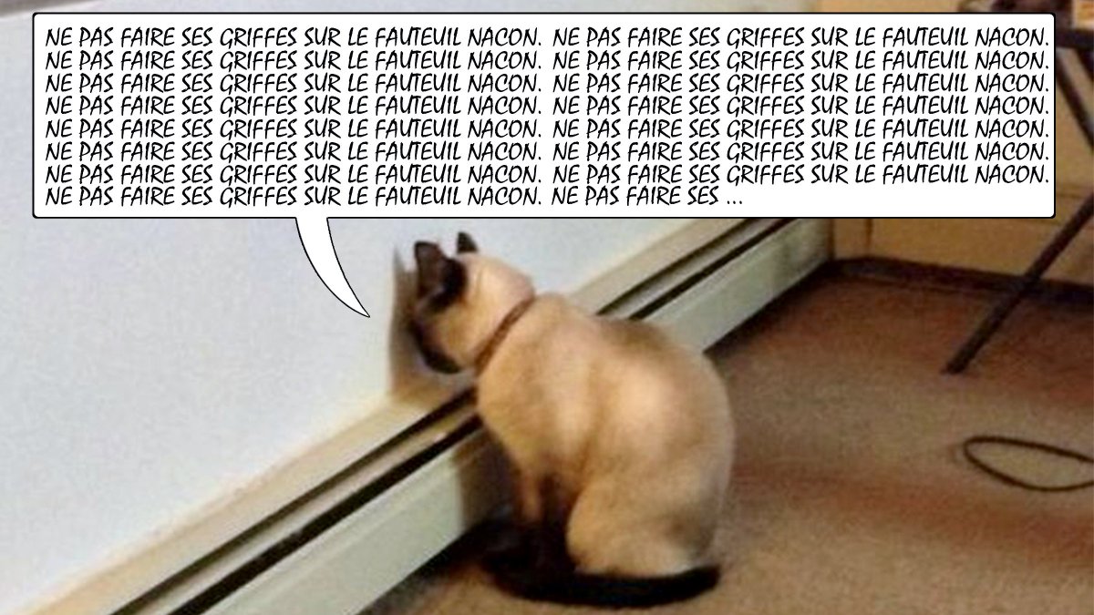 NaconFR's tweet photo. Le fauteuil d'un #Gamer c'est sacré ! Surtout si c'est un #Nacon ! 😹
À bon entendeur, #Chatlut ! #CH300 #CH350 😻 https://t.co/fTyDcksjS6