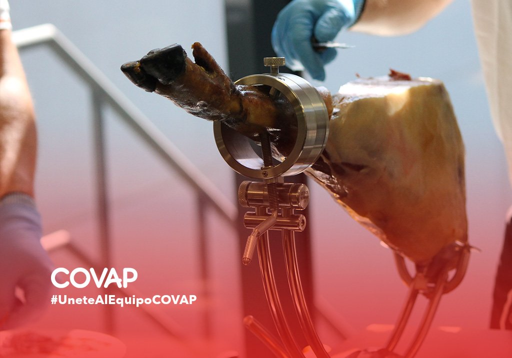 Buscamos Cortador/a y promotor/a en El Corte Inglés Las Palmas. Si cumples el perfil y estás interesado/a, envíanos tu CV a través de nuestra web ahora: bit.ly/32pS1QV
#UnetealequipoCOVAP #empleo #cortadorjamon #busquedadeempleo #LasPalmas #EmpleoenLasPalmas