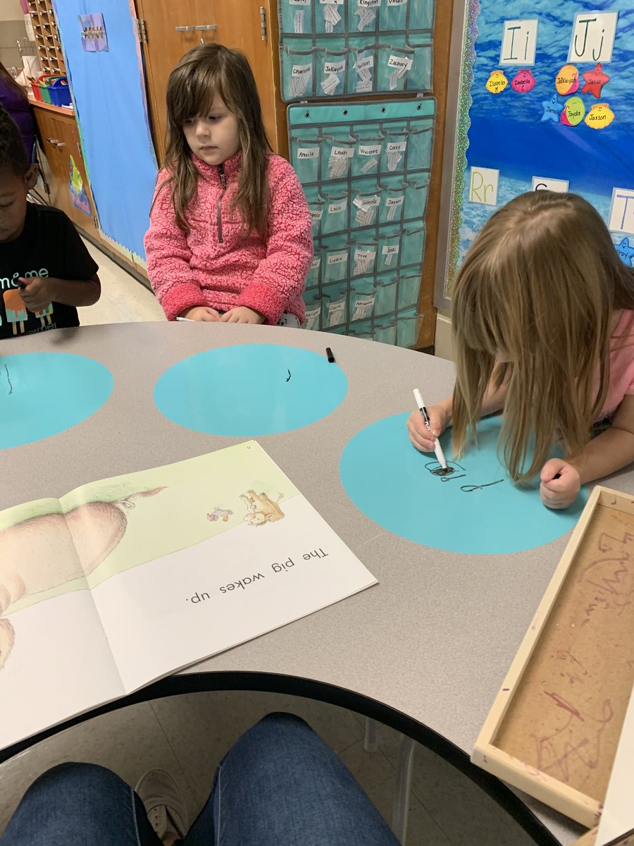 Ms_Tweed tweet media