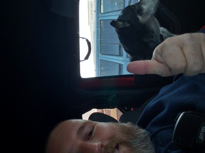 oldsjeep's tweet photo. Made a new friend today. #jeep #jeepdogbuddy https://t.co/baIJY8L9CN
