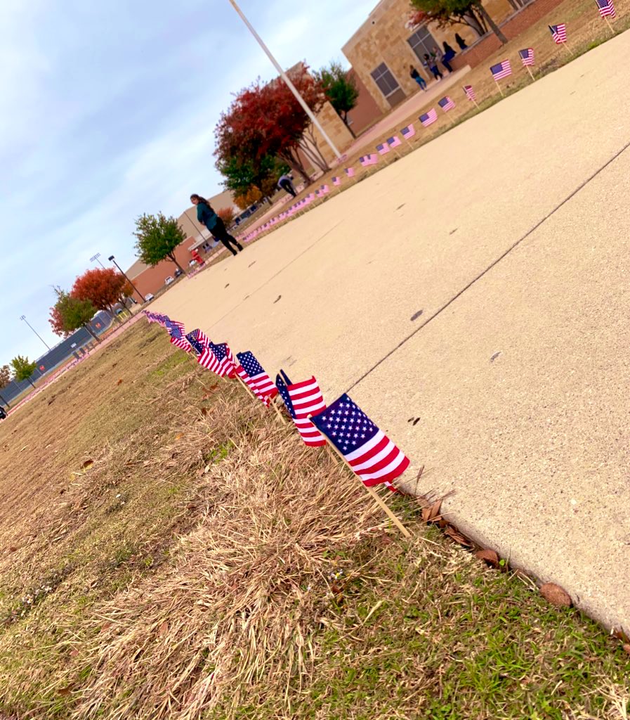 STUCO decorated the school for Veterans Day!!!🐻💓🇺🇸