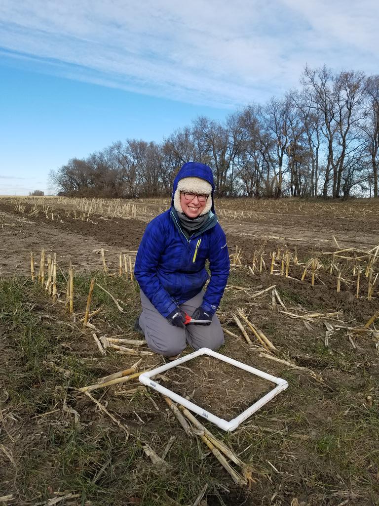 Chryseis Modderman tweet media