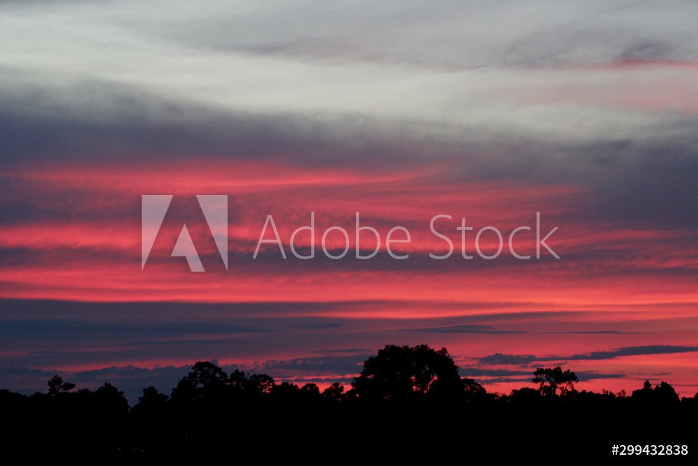 Some of our best photos, digital compositions, illustrations and videos will be at <a href="/adobestock/">Adobe Stock</a> website! Really excited to be part of their contribuitors. We just started but there will be more to come! Best place to find stock images and videos. #projektgroup #adobestock #adobe