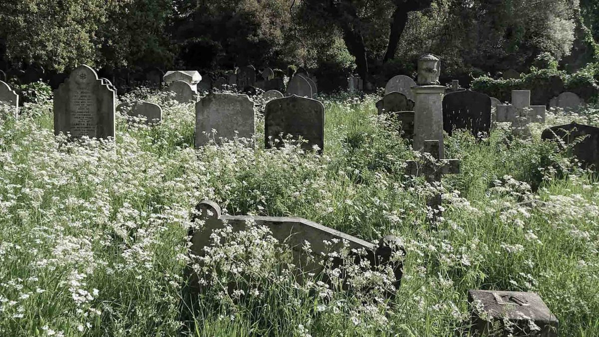 CaraSantaMaria's tweet image. Does science really advance one funeral at a time? 

#Scientists #YoungerGenerations #ScienceResearch #GrantMoney

undark.org/2019/11/06/top…