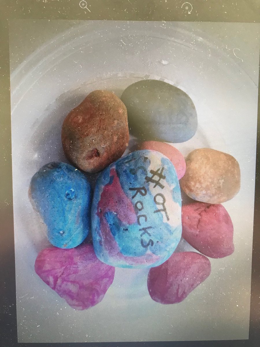 With consent sharing photo of one of our OT’s sons wonderful pebbles. They look great.
