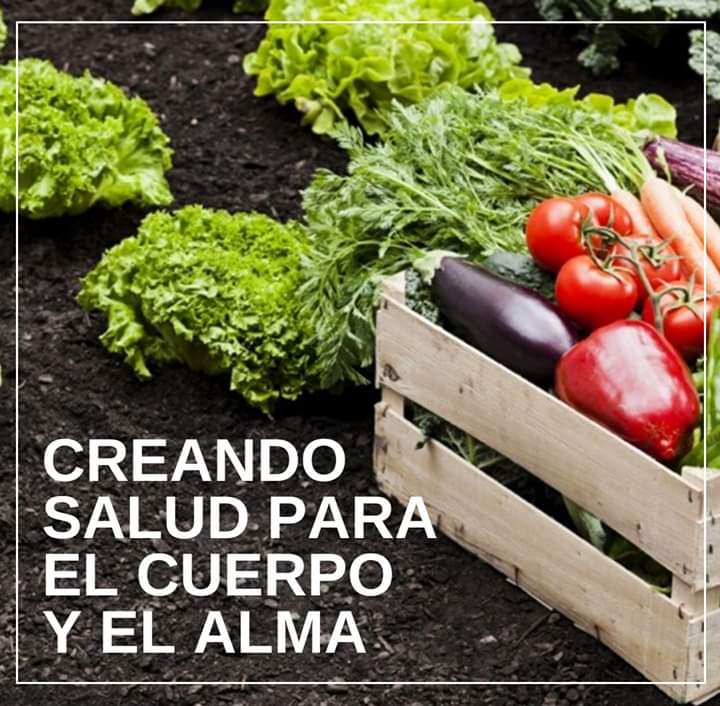 diariotodosalud's tweet photo. Una alimentación cualitativamente mejor aporta la energía necesaria para que el cerebro sea capaz de captar pensamientos más fructíferos y se pueda construir el puente que une el PENSAMIENTO a la VOLUNTAD y a la correcta ACCIÓN. 
Una nota para no perdese: https://t.co/lUrzhLiC2d https://t.co/cAIjCvvsNB
