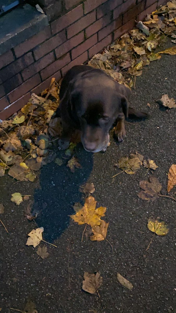 Jade Jackson tweet media