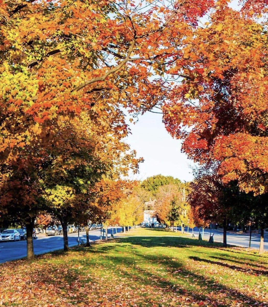 lottrealtygroup's tweet photo. Monument Ave + fall = π
#monumentave #monumentavenue #fall #allthecolors #Fan #TheFan #FanDistrict #FanHomes #FanDistrictRealtor #FanRealtor #Richmond #RVA #RichmondRealtor #RichmondHomes #RVAHomes #BuyAHome #SellAHome
#rashkindsaunders #RSCoHomes #LottRealtyGroup https://t.co/JaU4qdIKmy