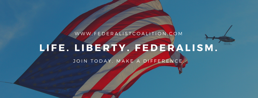 RealFedCo's tweet image. 