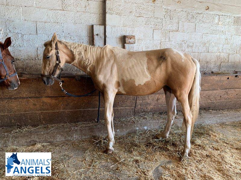 Teresa Cook Tcook1968 Twitter