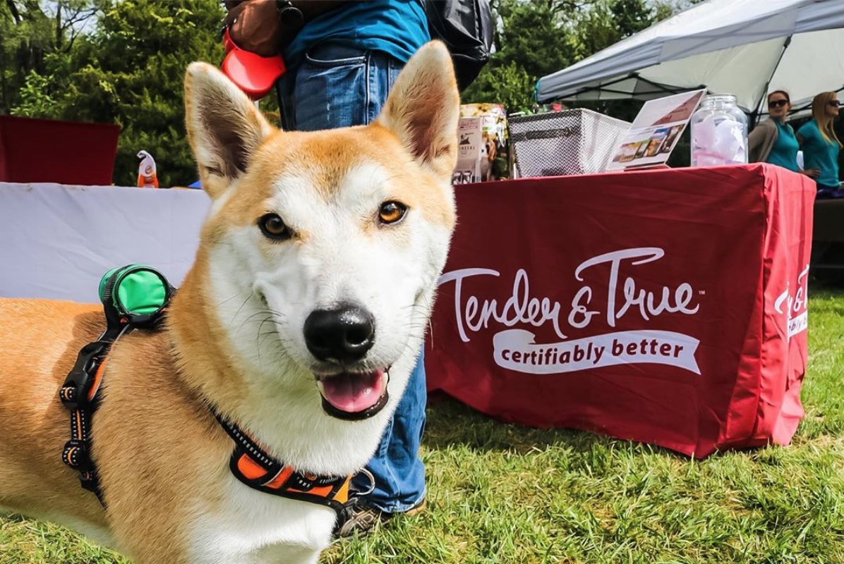 TenderAndTrue's tweet photo. Smiling from ear to ear because it's Friday! Can't wait for cuddles, movies and some yummy Tender &amp; True 🤤 https://t.co/JwhbUVtyb0