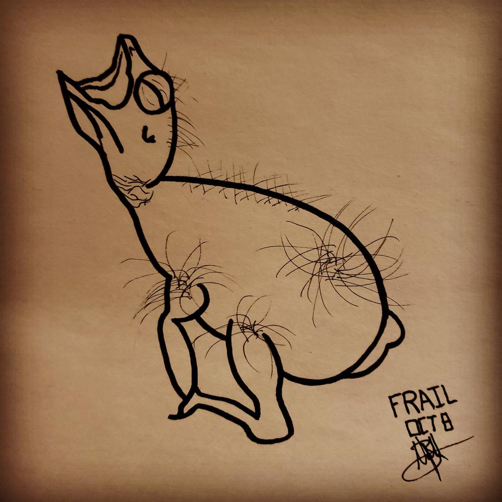 ElJefeNeo's tweet image. (I suck at keeping up with Inktober...but I got farther this year!)
You listen to the weak chirping of a newborn bird. You say to yourself, "This poor Frail creature will someday become a beautiful animal soaring above the clouds..." #inktober2019 #frail #bird