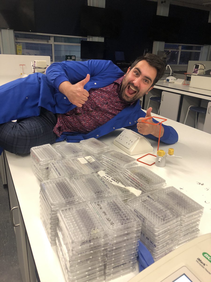 DrRachelFloyd's tweet image. We came, we saw, we conquered! LIFE227 MTT assay with @omicsgoodman is complete. Bacterial ID and Arabidopsis next! #teamworkmakesthedreamwork #TechniciansRule #FridayFeeling