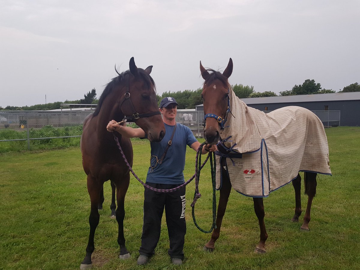 Catalyst and traveling light having a chat🤩