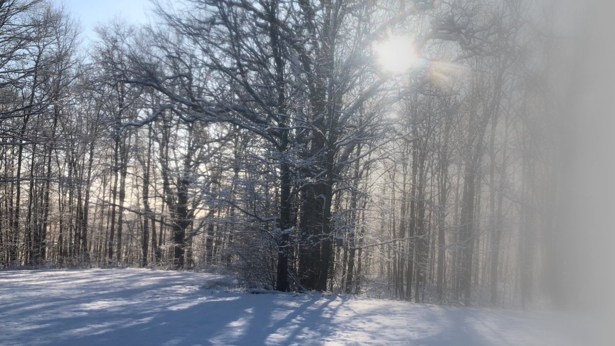 Sold85's tweet image. Mindfulness to me is noticing the little things that only require one minute of undivided attention to really enjoy their true beauty. My mom played in these woods as a kid, I played in these woods and my kids will play in these woods on what was my grandparents farm #infrontenac