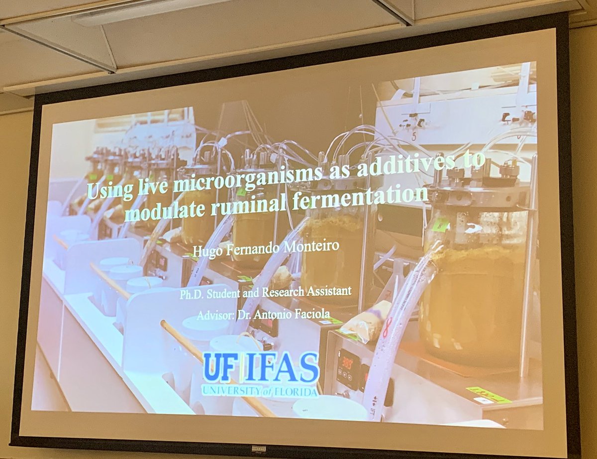 FaciolaLab's tweet photo. So proud of @hfmonteiro_UF work! In his seminar, he covered a LOT of his exciting research on ruminal fermentation using several in vitro systems! @UF @UFCALS @uf_ansci @UF_IFAS @UFExplore @UF_ASGSA @ADSAGSD 🔝🔝🔝 https://t.co/UtbKObfUla