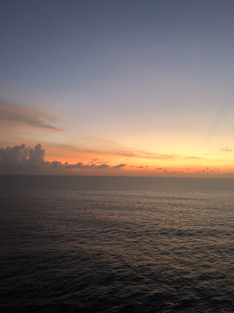 Julie Gray tweet media