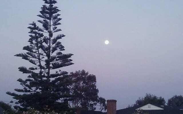 PS_manythoughts's tweet image. For about a year, my friend, Jay, and I talked about escaping our lives and living out on the trails or tramping... --&amp;gt; ift.tt/2YuBlKt -  #locationfree #traveltips #experience