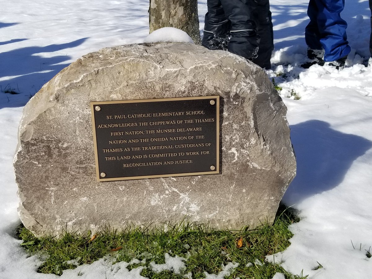 tammy denomme tweet media