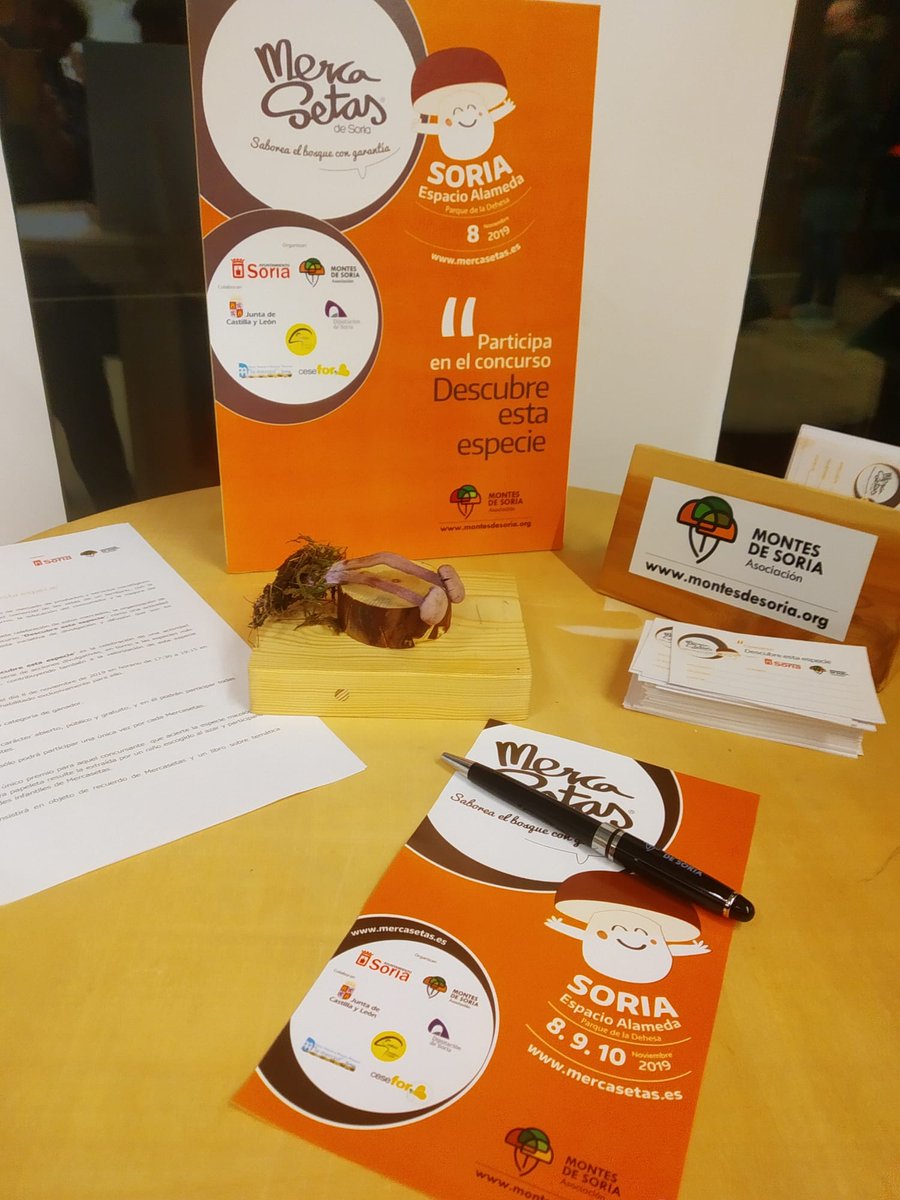 Participa en el concurso de <a href="/Mercasetas/">Mercasetas</a> descubre esta especie y llévate una sorpresa micologica