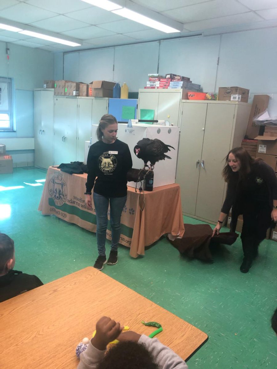 EnrichmentStep's tweet photo. The children at STEP holiday childcare enjoyed the Woodford Cedar Run Wildlife Refuge raptor presentation. Look who came to visit! 🦉 #WEareCHPS https://t.co/NZSzQ0DW5R