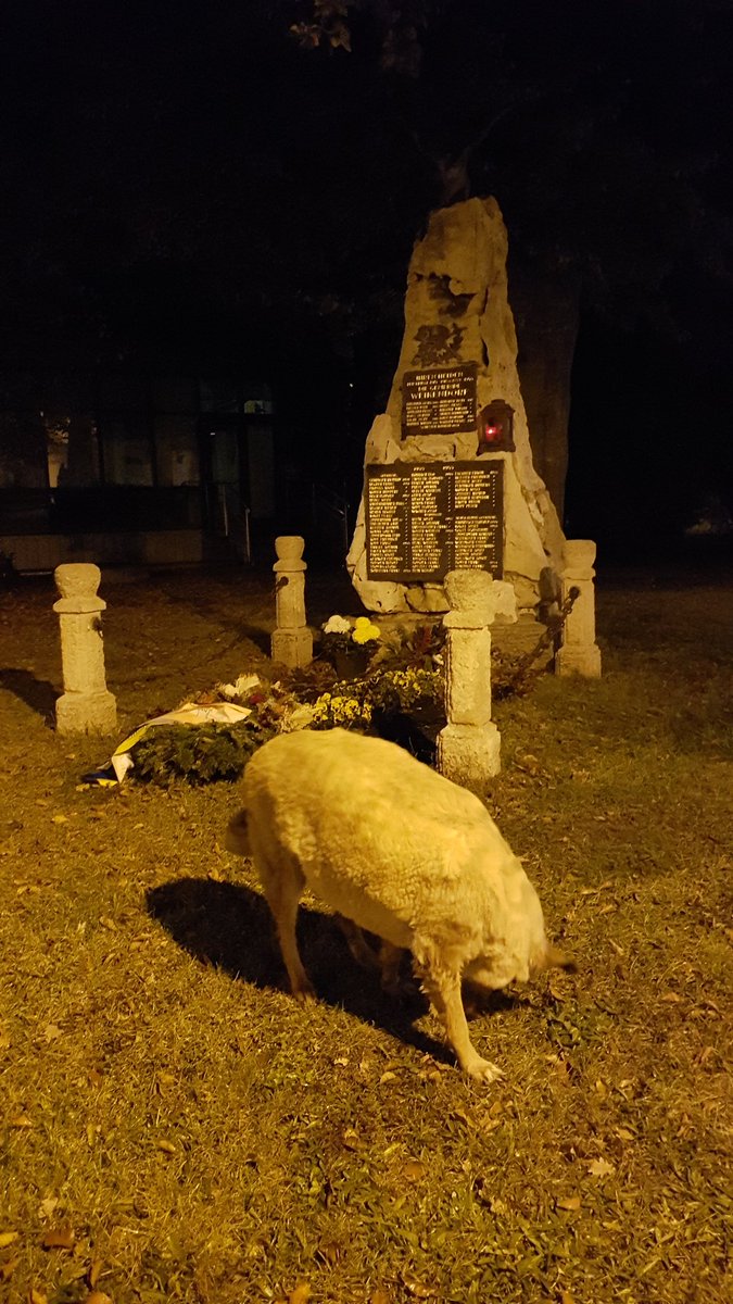 nice_centurion's tweet image. 🎃🇺🇸 #GoodMorningWorld  🌞❤😉🥃👍 #Twitter #WorldSeries 🇺🇸🎃